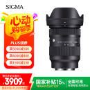 适马（SIGMA）28-70mm F2.8 DG DN｜Contemporary 全画幅微单 恒定大光圈标准变焦镜头2870 （索尼E卡口）