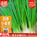 北蔬 四季小香葱种子小葱苗种苗家种盆栽菜种籽 四季小香葱种子1000粒