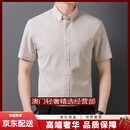 GUYNTRV品牌男士天丝长绒棉短袖衬衫男竖条纹半袖夏季轻商务薄款衬衣 黄色 黄色 4XL