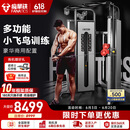 FANATICS疯拿铁小飞鸟综合训练器龙门架商用家用健身器材训练多功能一体机 FR-900P（150KG包胶配重）