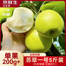 京鲜生 苏翠一号 净重5斤 单果200g+ 新鲜水果 源头直发包邮