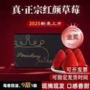 现摘新鲜红颜奶油大草莓红颜九九牛奶草莓孕妇水果空运礼盒装 2盒装（单盒15颗粒） 精选大果20g+