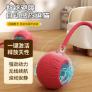 塔姆熊猫狗玩具自动感应逗猫球智能解闷神器宠物玩具遛猫遛狗逗狗突突球 红色智能逗狗球-【三挡可调】-（带逗狗绳）