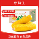 京鲜生东北黄糯玉米棒200g×8根 甜黏玉米 多种包装随机发货 源头直发