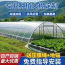 BEYZK种植大棚全套大棚骨架养殖大棚鸡棚养猪棚蔬菜大棚花卉棚保温大棚 店长推荐 圆管椭圆管定制联系客服