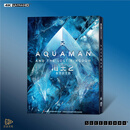 海王2失落的王国4K UHD蓝光碟铁盒版BD100杜比视界全景声正版 标准