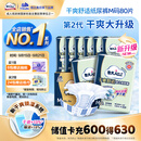 包大人（Dr.P）基础型成人纸尿裤M80片（腰围：70cm-110cm）老年人产妇尿不湿