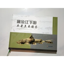 澜沧江下游土著鱼类图鉴 不详 云南科技出版社二手书