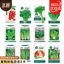 北蔬 蔬菜种子苗生菜菠菜小香葱芹菜阳台四季菜种籽 12种蔬菜种子套餐