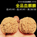 沐玛文玩核桃老树血麒麟平谷色子全品无修实拍一物一图精品手把件 31910-41mm全品血麒麟