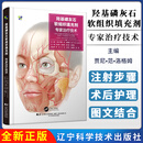 羟基磷灰石软组织填充剂·专家治疗技术 Jani van Loghem MD 宋月星 辽宁科学技术出版社