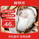 鲜京采 鲜活生蚝5XL 净重5斤 9-12只 生鲜海鲜 七夕聚餐 源头直发