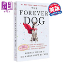 永远的爱犬 让你的犬类伙伴更年轻 更健康 更长寿的神奇科学 The Forever Dog 英文原版 Rodney Habib