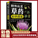 野外认采草药彩色图鉴通俗易懂实用性强手册中医野外认采书籍 野外认采草药彩色图鉴