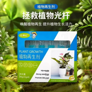 植物再生剂浓缩营养液绿植物通用养花卉盆栽家庭园艺肥料G1JW 3盒装共18支【绿叶+壮根+促花+拔箭】