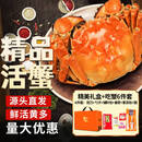 【活蟹】湖中秋色全母大闸蟹2.3-2.6两8只去绳足重螃蟹鲜活海鲜水产中秋送礼盒源头直发