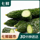 长黄瓜约600g