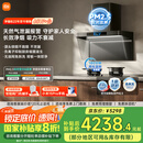 米家小米欧式顶吸抽油烟机净烟机P2 家电国家补贴20%以旧换新油烟机天然气燃气灶MJ06CY【套装商品】