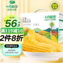 十月稻田 五常鲜食糯玉米 2.2kg(220g*10) 22年新玉米 东北黄糯 甜糯 轻食