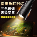 坤宁王鱼缸灯led灯南美鱼缸专用射灯溪流造景水草灯小型照明灯3色变焦3w