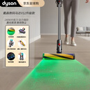 戴森（DYSON）V12 Detect Slim Fluffy家用清洁手持无线除螨吸尘器 光学显尘 原装进口 超强大吸力 智能 可车载