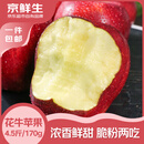 京鲜生 天水花牛苹果 净重4.5斤 单果170g+ 生鲜水果源头直发