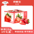 京鲜生 丹东99红颜奶油草莓 3斤礼盒装 500g*3盒 单果22-30g 生鲜水果