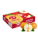 【中秋礼盒】佳农莱阳冰糖秋月梨6-9粒3.25kg