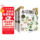 图解本草纲目+图解黄帝内经（全2册） 白话文图解 彩图珍藏版 医学养生书籍 中医养生保健