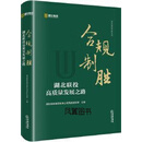 合规制胜 湖北联投高质量发展之路 湖北联投集团有限公司风控法务部主编 法律出版社