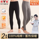 雅鹿2条100%纯棉男士秋裤男保暖衬裤冬季薄款全棉7A抗菌棉毛打底单裤