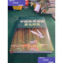 【二手9成新】中国药用动物原色图鉴 /黎跃成 上海科学技术