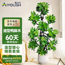 爱优尚特级造型鸭脚木客厅大盆栽八方来财室内落地大型绿植高端源头直发