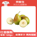 京鲜生 河北红香酥梨 净重3斤 单果120g+ 生鲜水果 源头直发