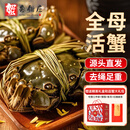 【活蟹】蟹叁钳庄鲜活大闸蟹现货全母蟹2.5-2.8两8只螃蟹去绳足重海鲜中秋礼盒