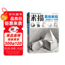 经典全集《素描基础教程》自学入门教材书籍铅笔手绘画画册本从单个体石膏几何体成人美术临摹范本到精通人物