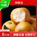 京鲜生 山东莱阳秋月梨 净重8斤 单果300g+ 中秋鲜果 源头直发