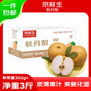 京鲜生山东烟台莱阳秋月梨净重3斤单果300g  新鲜水果 源头直发包邮