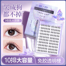 BHBN假睫毛贴免胶自粘自然仿真韩系2026新款太阳花眼睫毛肿眼泡适新手