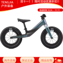 SPECIALIZEDHOTWALK CARBON 12英寸儿童平衡车无脚踏滑步车 缎面变色龙/碳纤维色 12英寸