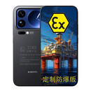 小米（MI）17 Pro Max 6.9英寸 7500mAh大电池 定制防爆手机 本安EX工业化工厂石油制药 防爆定制版(带证书) 12+512GB