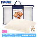 邓禄普（Dunlopillo）长者枕 荷兰进口特拉雷Talalay天然乳胶枕 物理发泡工艺 