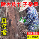 一七锄（Yiqichu）环嗪酮除草剂烂根除杂草除大树竹子灌木杂竹死根专用农药500g*5袋
