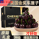 胖东来品质车厘子礼盒现货 美国大樱桃9进口技术特大樱桃新鲜水果 5斤(净重) 5斤 8R 31.4mm(含)-33.3mm(不含)