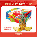 京鲜生  海南金钻凤梨 4粒装 单果2斤起 生鲜水果