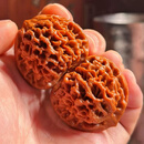 山中玉文玩核桃秦闷秦岭闷尖狮子头实拍一物一图老树精配手把件男士礼物 45-46mm老树秦闷