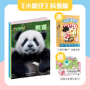 小聪仔科普版杂志 2026年全年杂志订阅1月起订科普版杂志 少儿益智科普期刊 开发智力增长知识儿童期刊