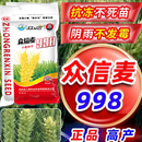 旺园兴国审众信麦998小麦种子优质正品原种矮杆高产抗病抗倒大田秋季播 25斤1包原装）红包装众信麦998