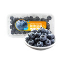 秘鲁超大蓝莓250g（18mm）