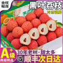 山姆大叔黑叶荔枝【顺丰-多地次日达】新鲜冻眠荔枝非现摘水果中秋节礼盒 9A超级巨无霸【爆甜】单果20g+ 净5斤【超划算-80%选择】主推爆款